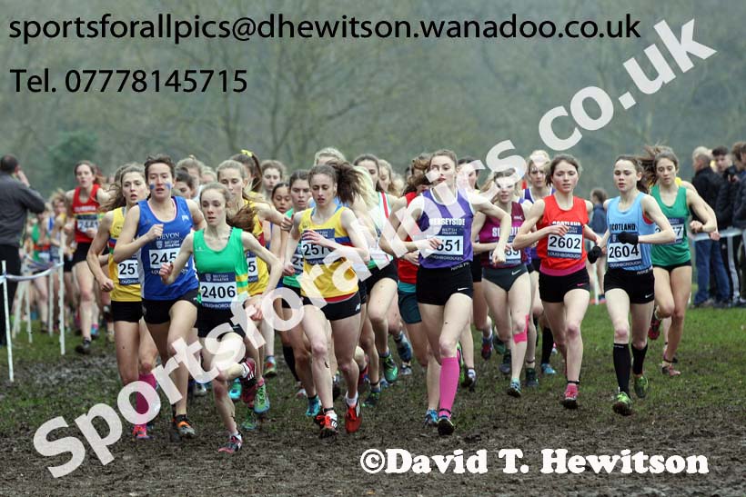 Womens under-20s Inter Counties Cross Country, Prestwold Hall, Loughborough. Photo: David T. Hewitson/Sports for All Pics